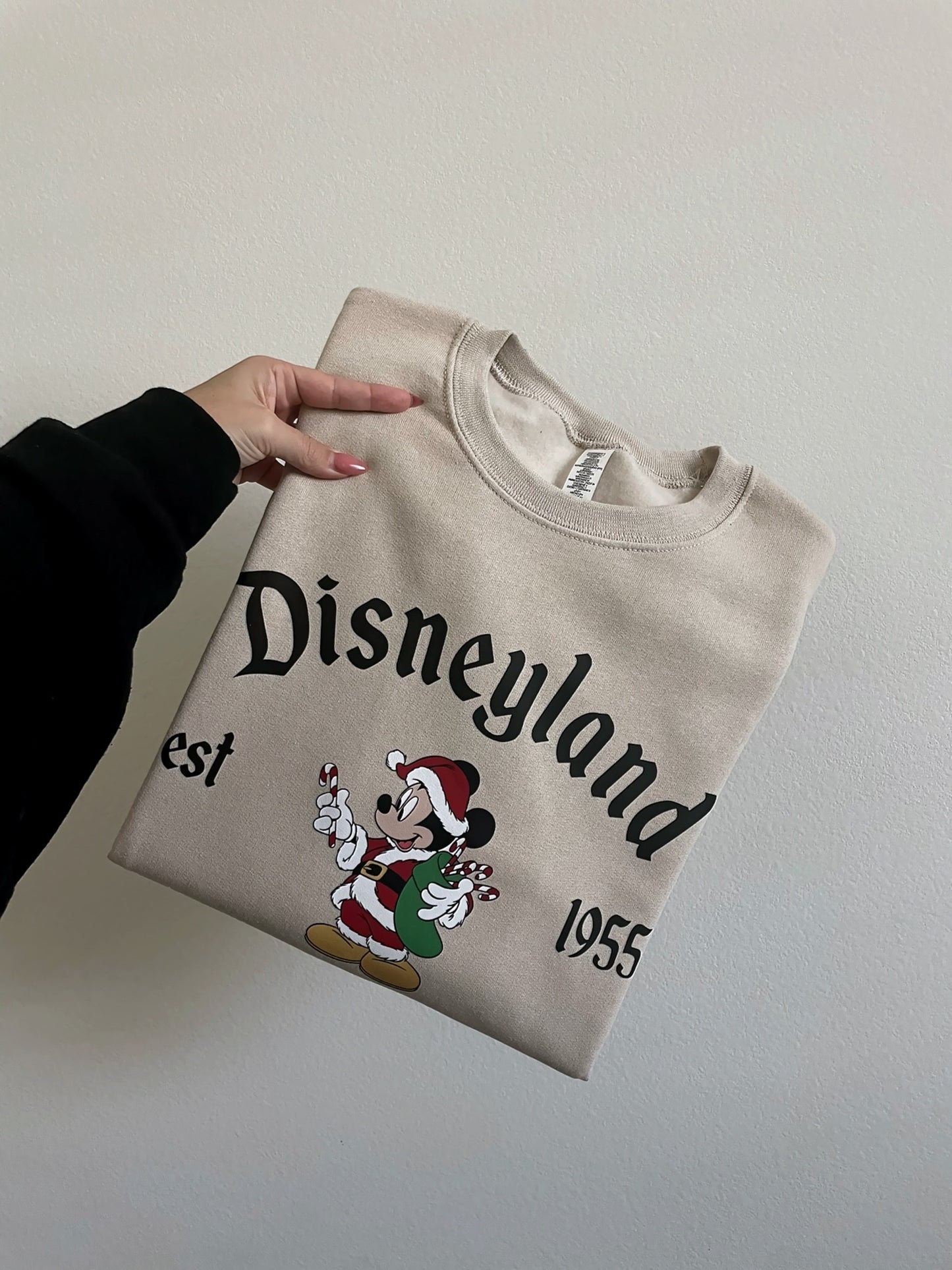 Disneyland OR Disneyworld Christmas Crew