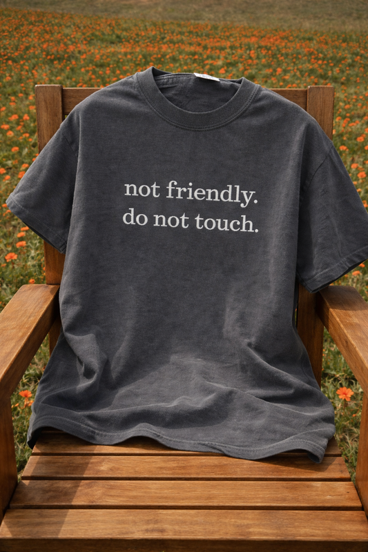 Not Friendly, do not touch embroidered tee