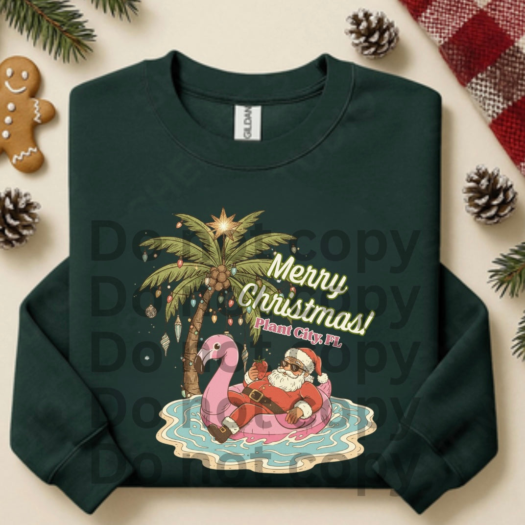 Merry Christmas from Plant City Fl