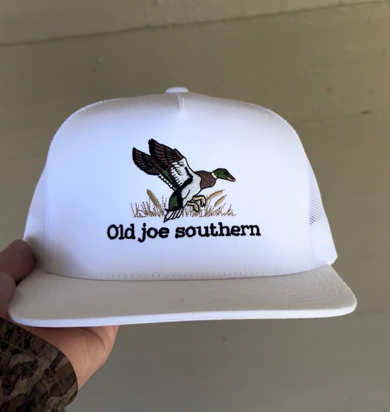 Old Joe Southern